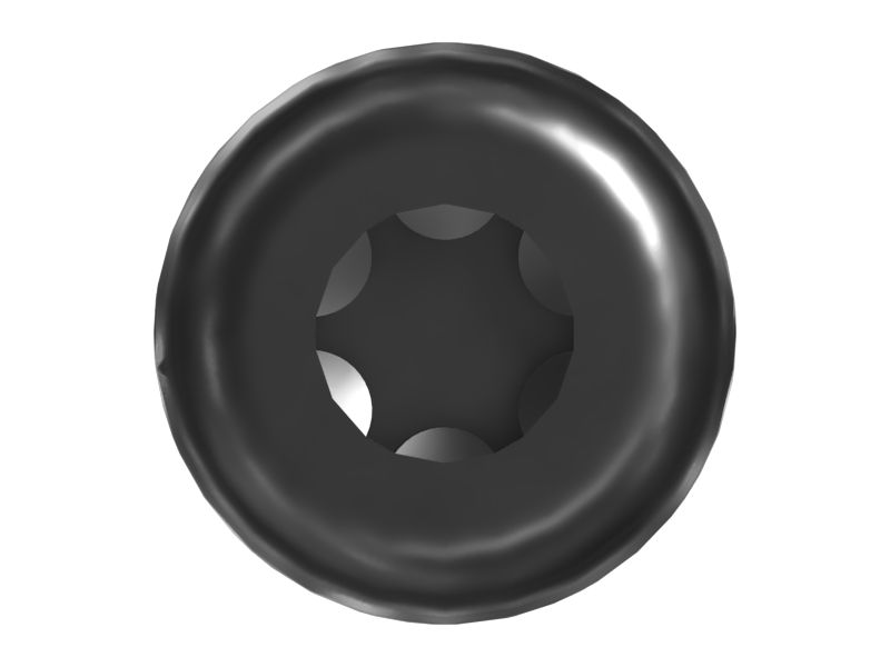 Pan Head Torx Socket Screw
