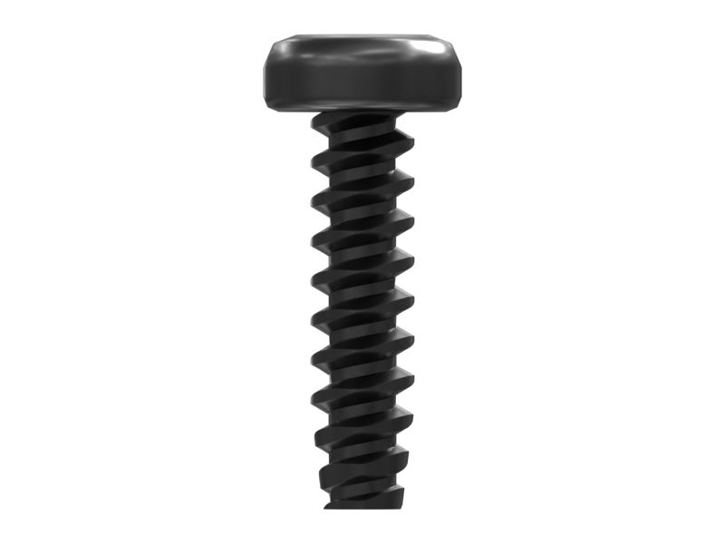 Pan Head Torx Socket Screw
