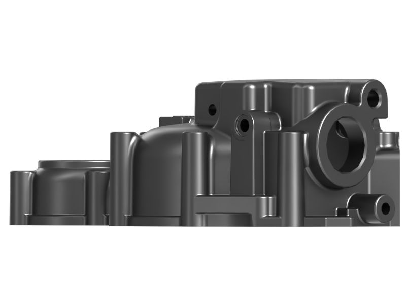 Engine Oil Pump Timing Gear Case