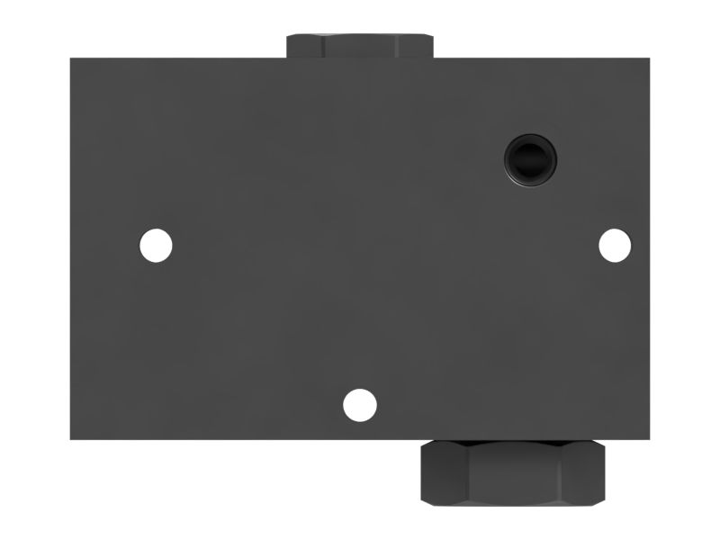 Hydraulic Check Valve