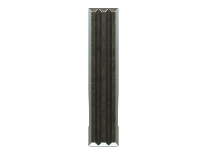 ЗОЛОТНИК (C110)
