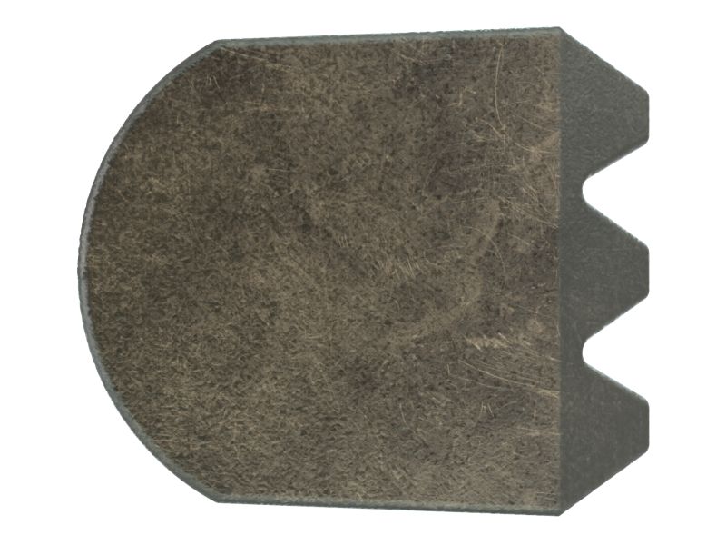 ЗОЛОТНИК (C110)
