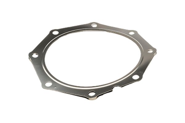 Diesel Particulate Canister Gasket
