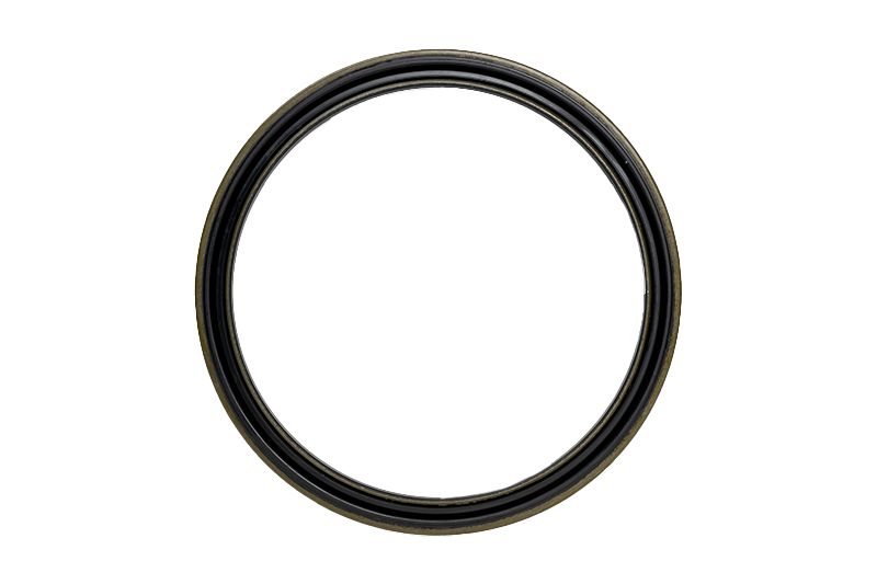 167.8mm Inner Diameter Lip Type Seal