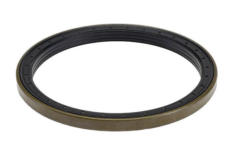 167.8mm Inner Diameter Lip Type Seal