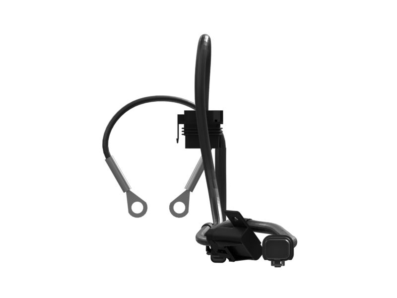 Engine Wiring Harness