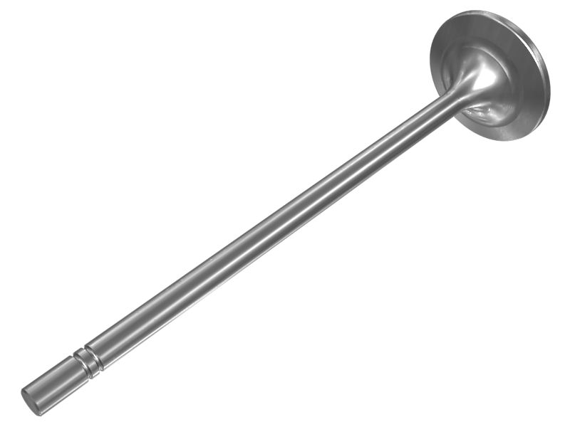 Engine Exhaust Valve