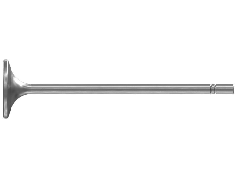 Engine Exhaust Valve