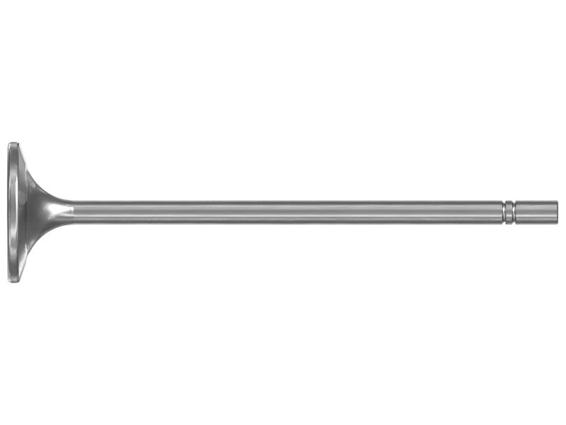 Engine Exhaust Valve