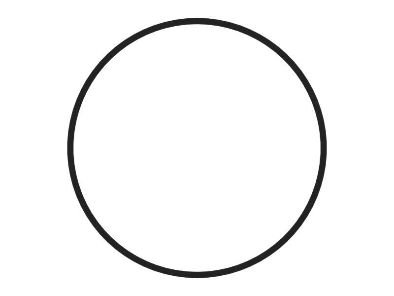 Hydraulic Cylinder Backup Ring