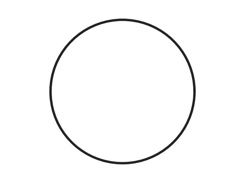 155mm Inner Diameter Piston Wear Ring