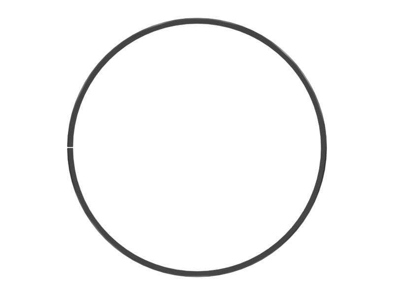 300mm Outer Diameter Oil Regulating Piston Ring