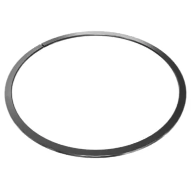 566-5490: Diametro esterno 300 mm Fascia elastica intermedia del pistone