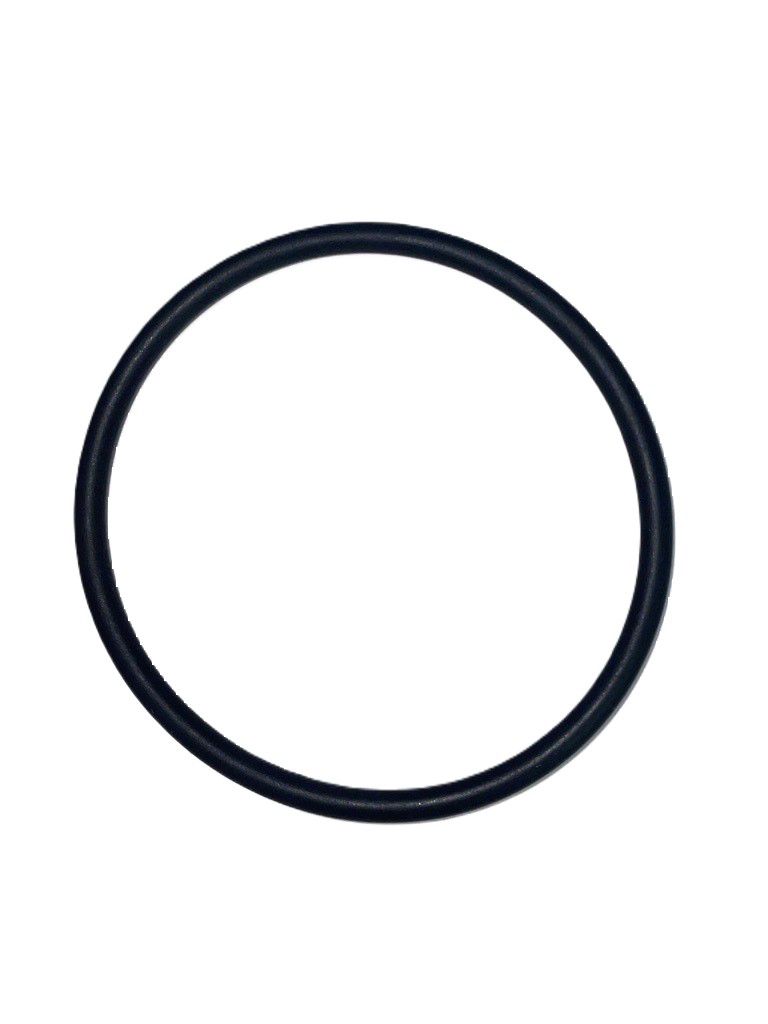 2.62 x 48.9mm O-Ring