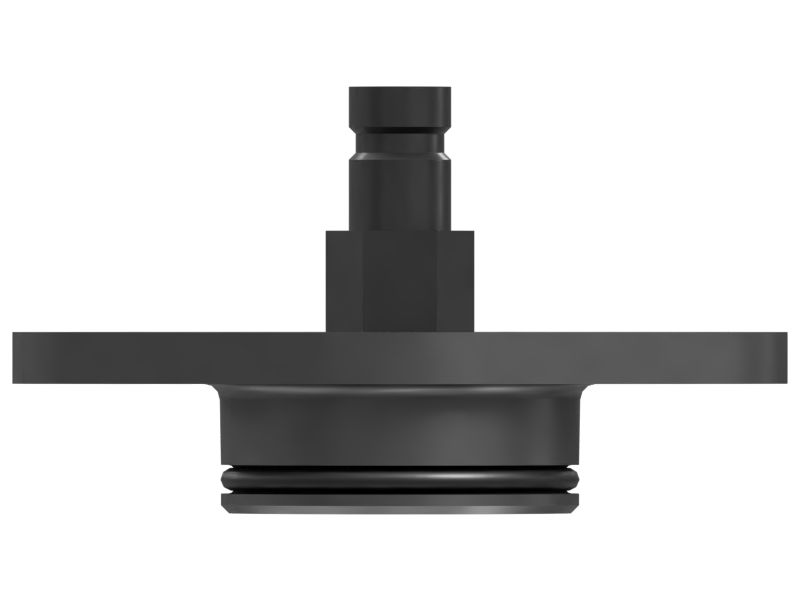 High Pressure Fuel Rail Flushing Plug