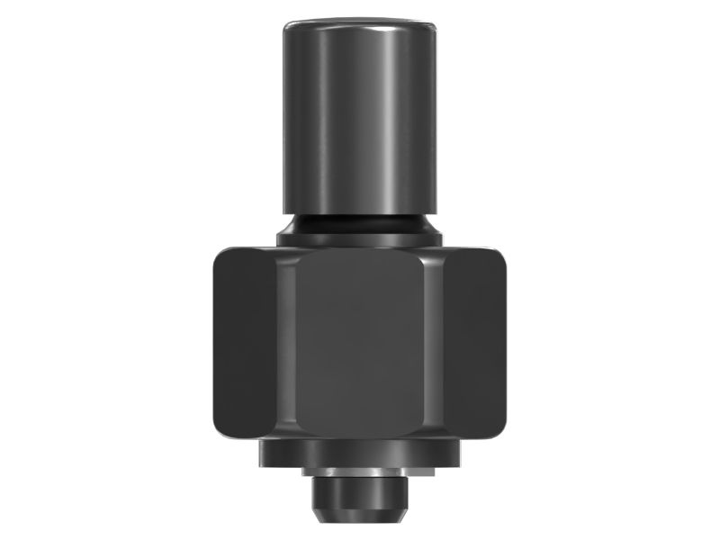 Fuel Injector Rail Plug