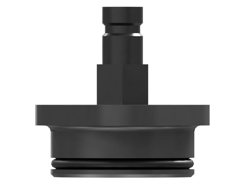 High Pressure Fuel Rail Flushing Plug