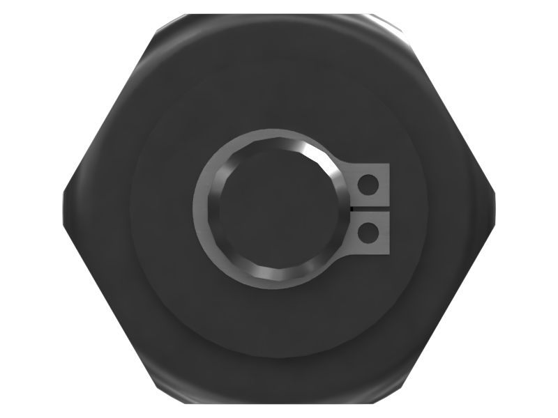Fuel Injector Rail Plug