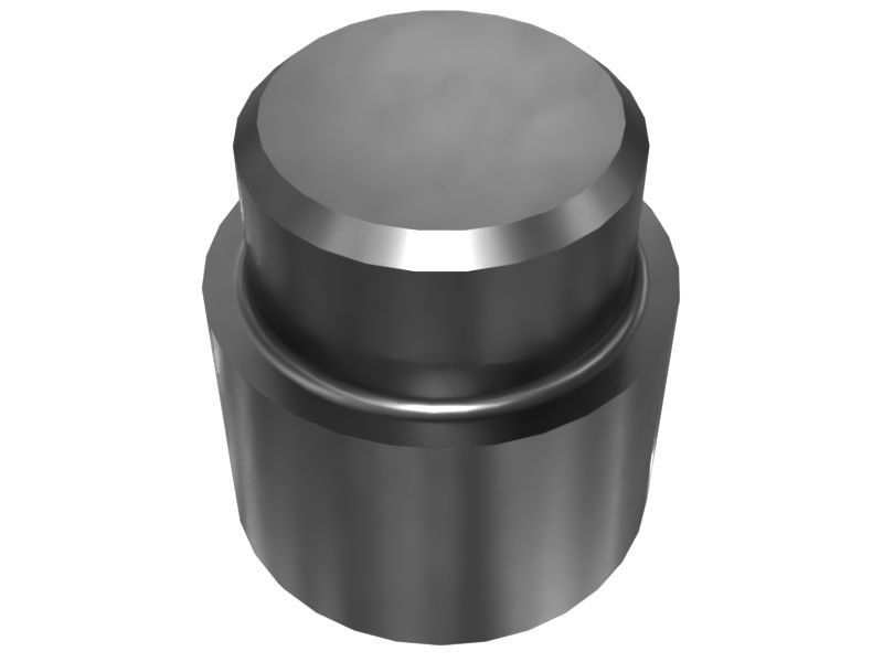 50.31mm Outer Diameter Track Pin Plunger
