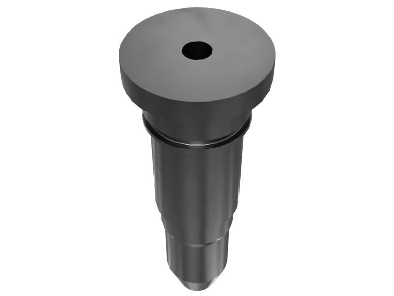 Dummy Injector Plug Tool