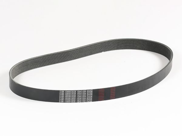 Belt-SEM