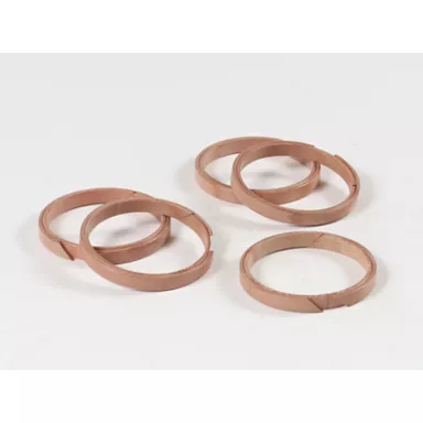 153-2162: Ring til stempelpumpe