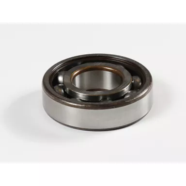 077-4599: Power Take-Off Clutch Bearing