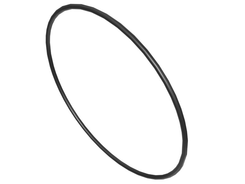 386-5909: ANELLO DI TENUTA