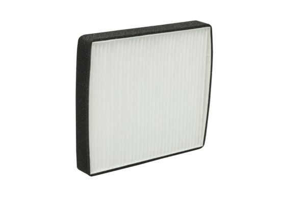 Standard Efficiency Cabin Air Filter