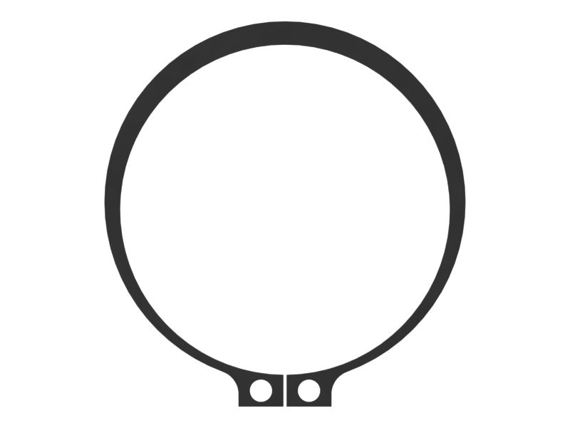 6I-0787: Ring-retaining 6I0787 купить