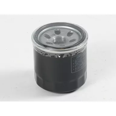 199-2239: Engine Oil Filter